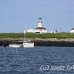 lighthouse_island_seal_machias_h_2312_can1018.jpg